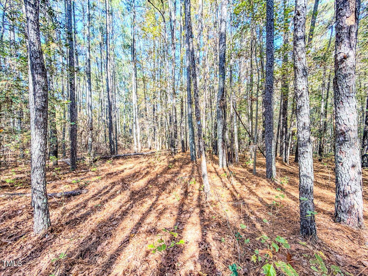 265 Aiken Road Vass, NC 28394 - Photo 17 of 39 7.01 - Beane - Moore Co.16