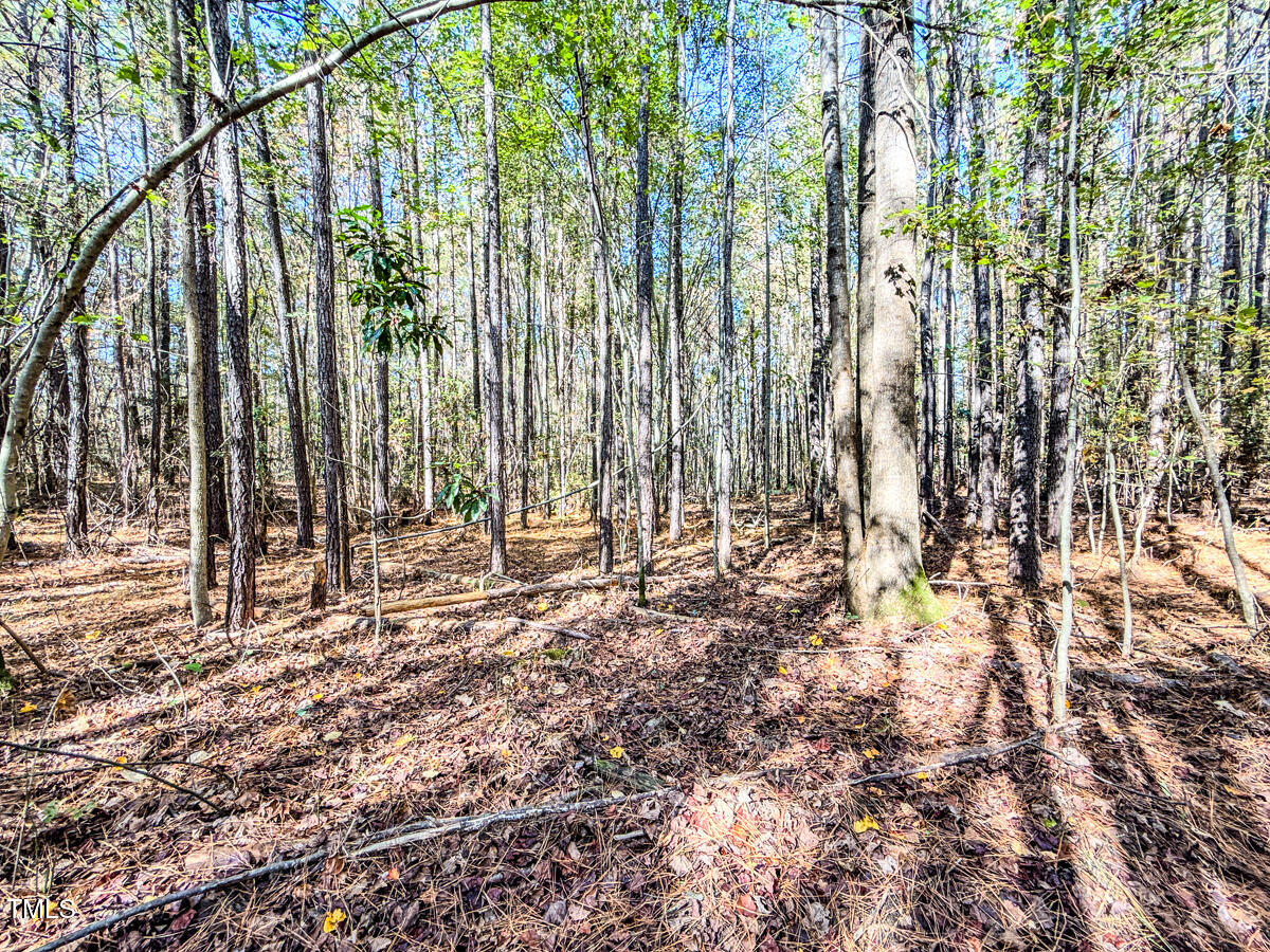 265 Aiken Road Vass, NC 28394 - Photo 18 of 39 7.01 - Beane - Moore Co.17