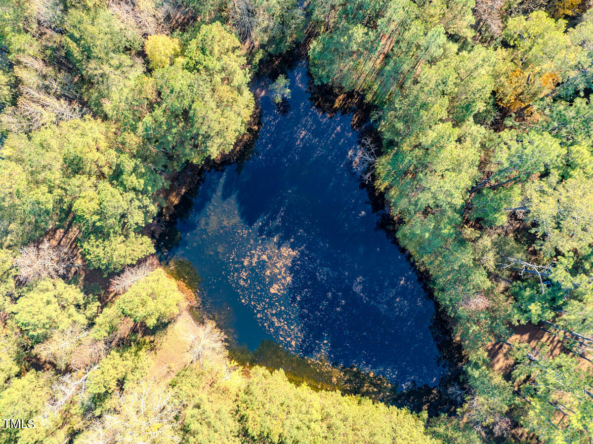 265 Aiken Road Vass, NC 28394 - Photo 21 of 39 7.01 - Beane - Moore Co.20