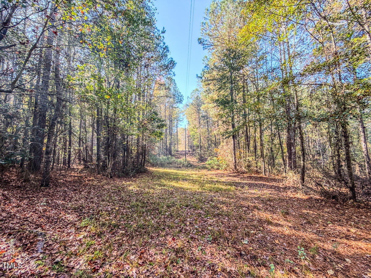 265 Aiken Road Vass, NC 28394 - Photo 29 of 39 7.01 - Beane - Moore Co.28