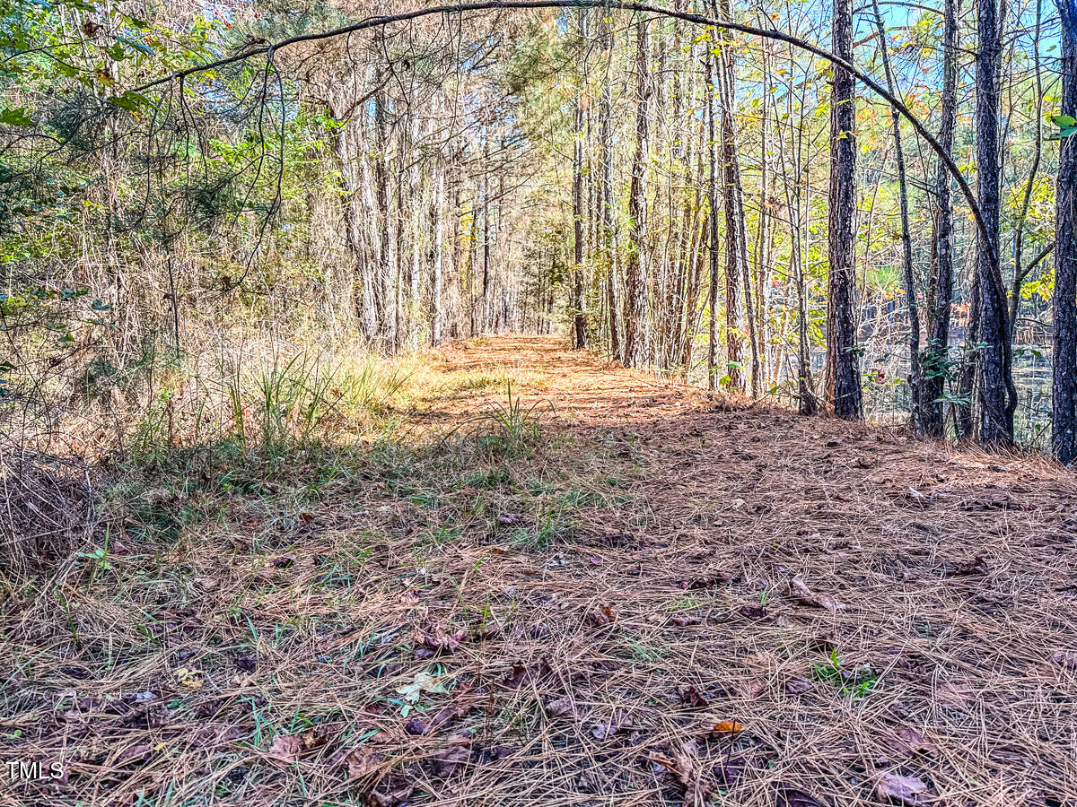 265 Aiken Road Vass, NC 28394 - Photo 33 of 39 7.01 - Beane - Moore Co.32