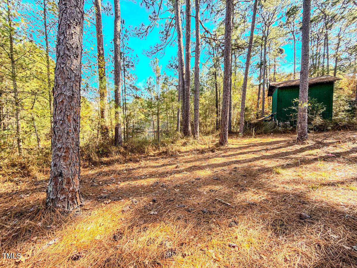 265 Aiken Road Vass, NC 28394 - Photo 37 of 39 7.01 - Beane - Moore Co.36