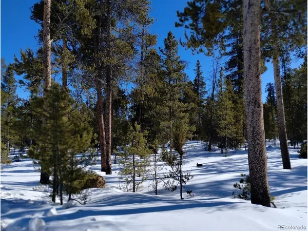 $60,000 | 416 Cedar Drive, Leadville, CO 80461