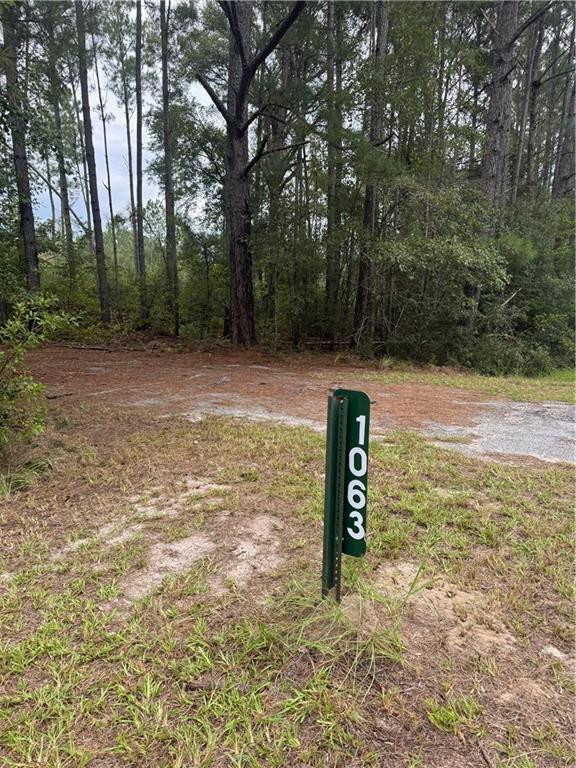 1603 Dl Durrence Road Reidsville, GA 30453 - Photo 18 of 31 Photo 18