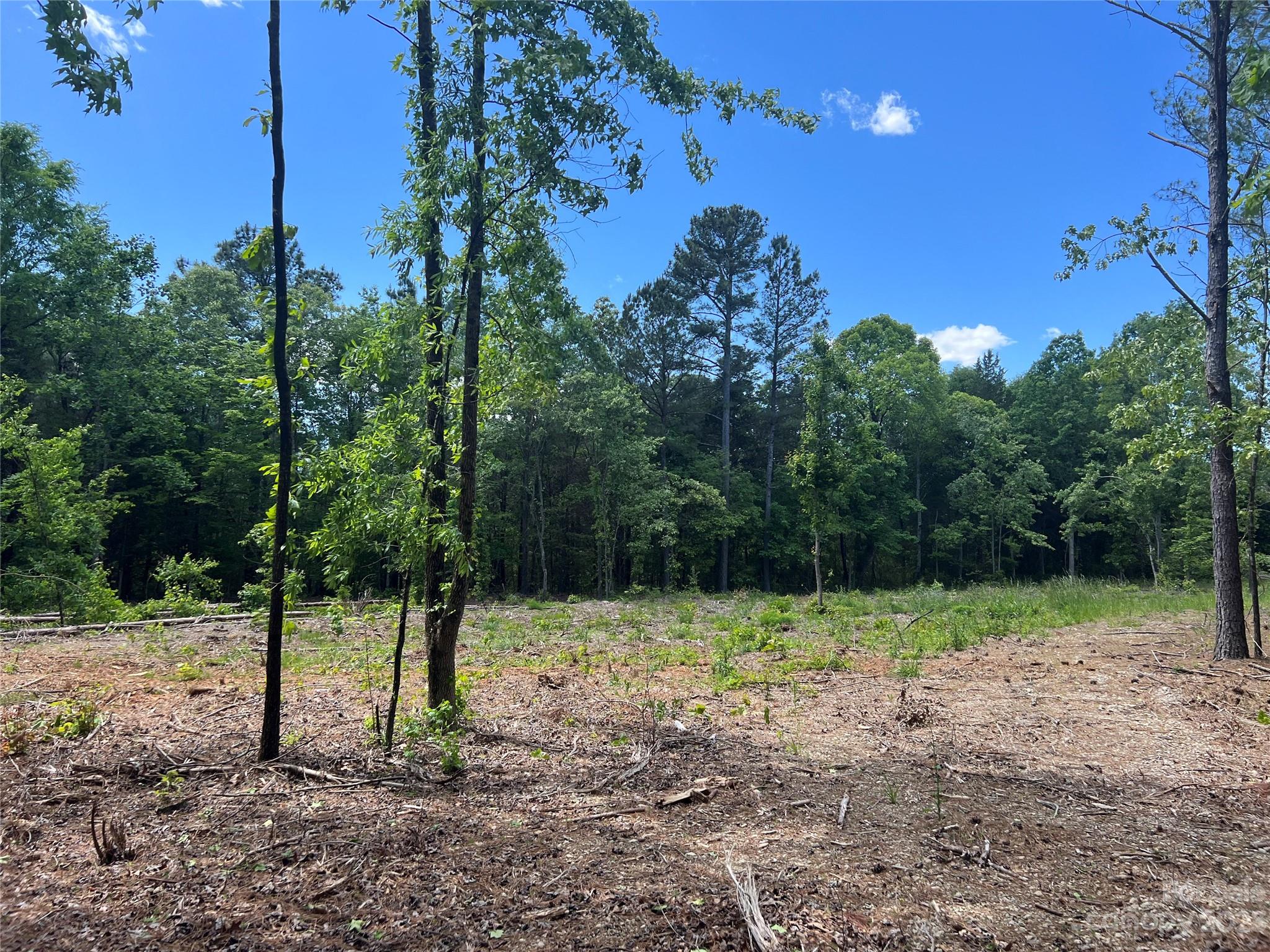 6553 Sherrills Ford Road Catawba, NC 28609 - Photo 4 of 10 a view of a yard with a tree