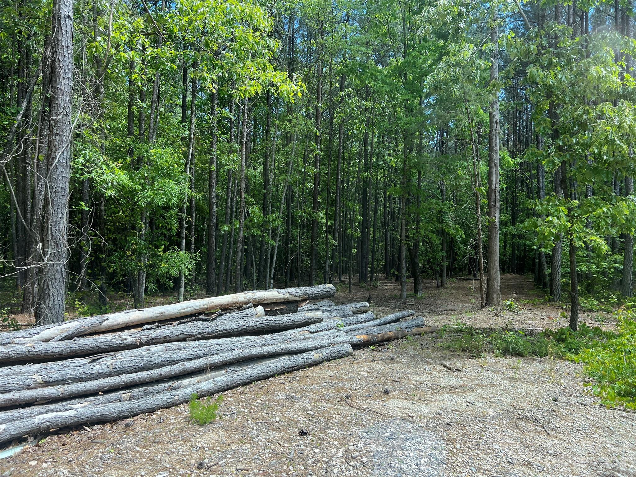 6553 Sherrills Ford Road Catawba, NC 28609 - Photo 10 of 10 a view of patio with green space