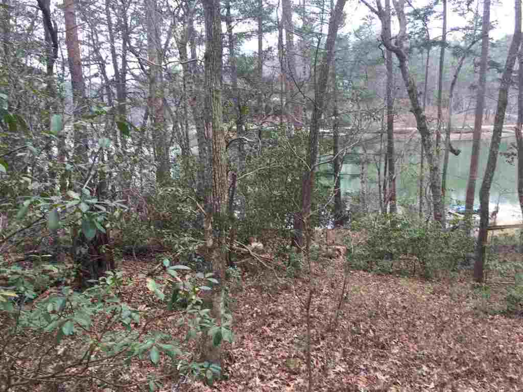 Wren Rd Mountain Rest Lake Road Mountain Rest, SC 29664 - Photo 2 of 2 Gallery Image 2
