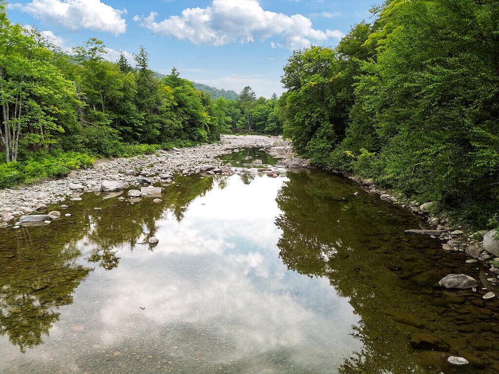 157 Iron Bridge Road Kingfield, ME 04947 - Photo 4 of 46 Carrabassett River