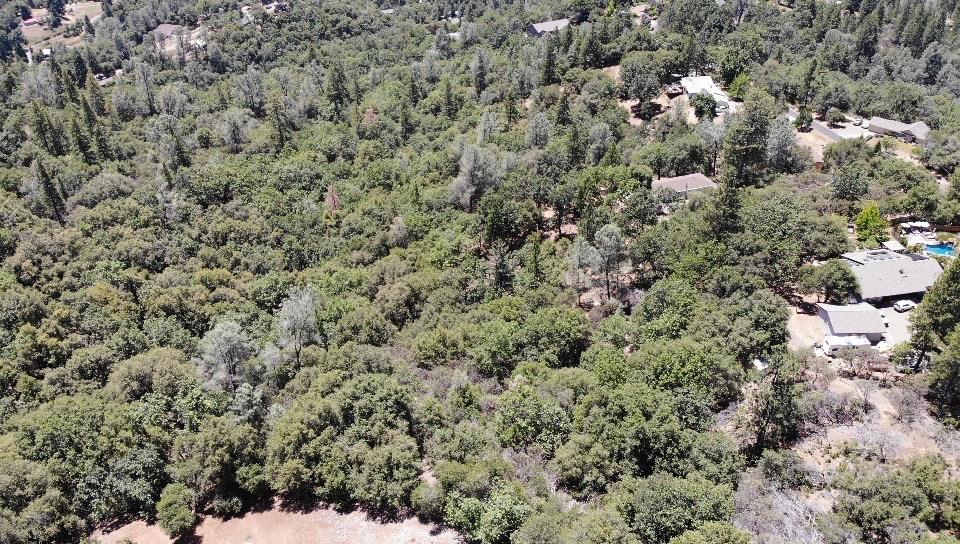 0 Bowman Road Pine Grove, CA 95665 - Photo 21 of 30