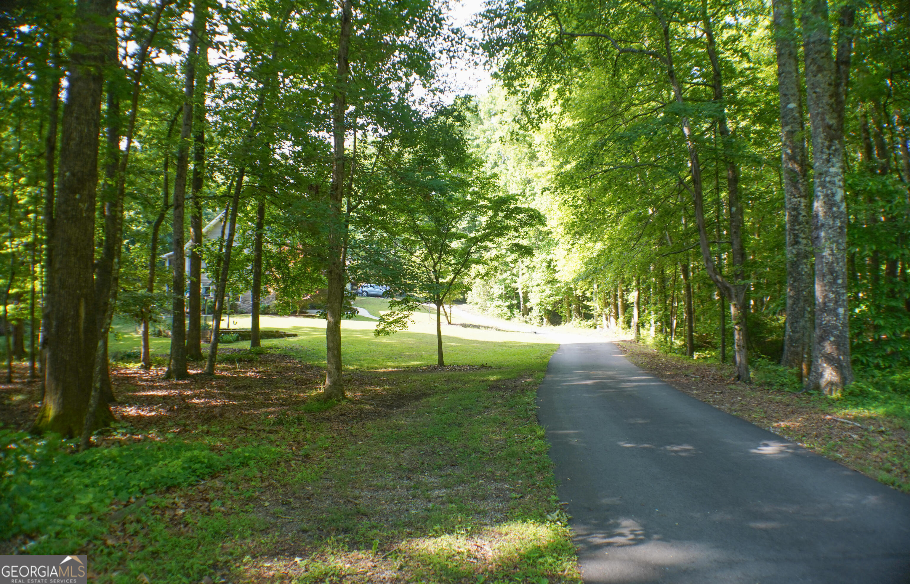 335 Winding Stream Trail Hampton, GA 30228 - Photo 34 of 35 a view of a trees with a yard