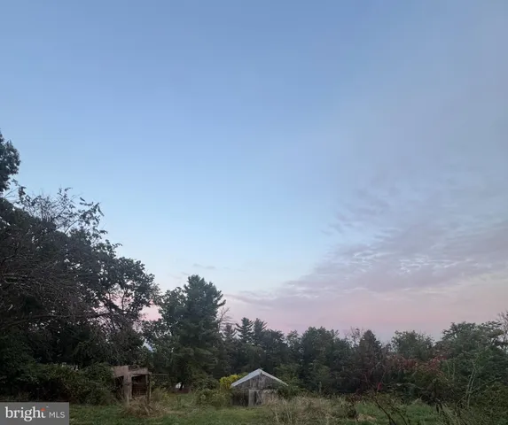 a view of a city with lush green forest