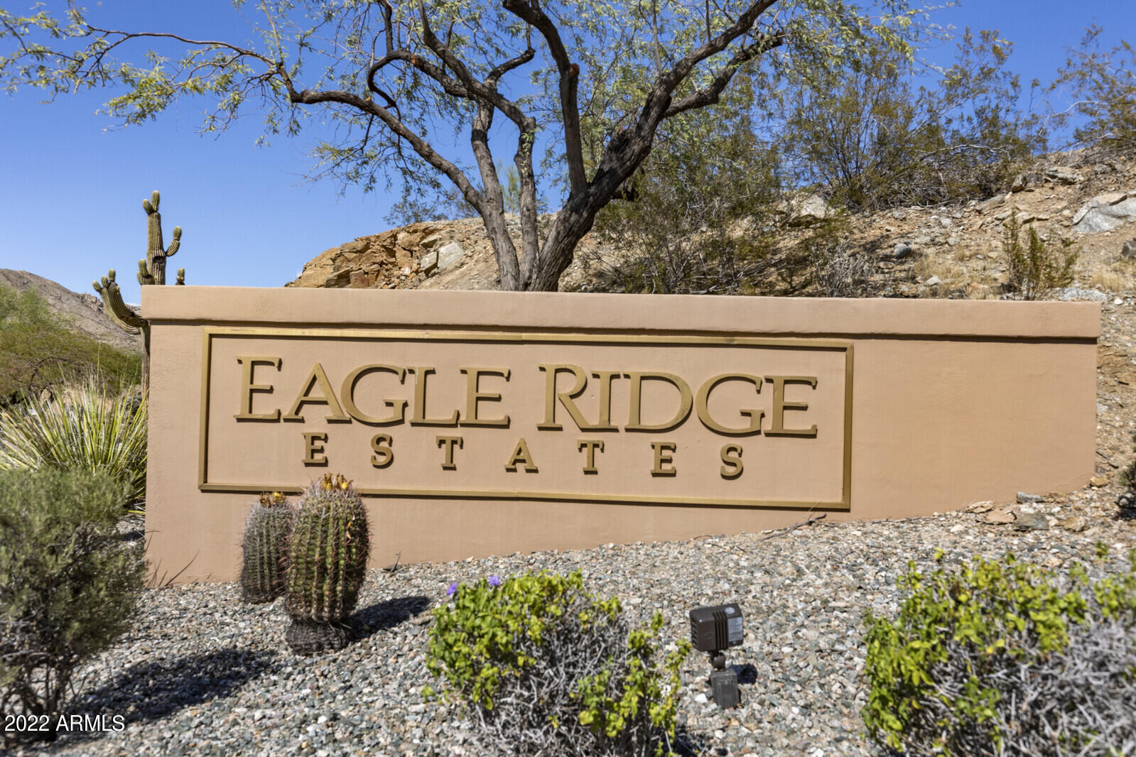 426 East Windmere Drive Phoenix, AZ 85048 - Photo 83 of 88 90_426_E_Windmere_Dr__90_mls