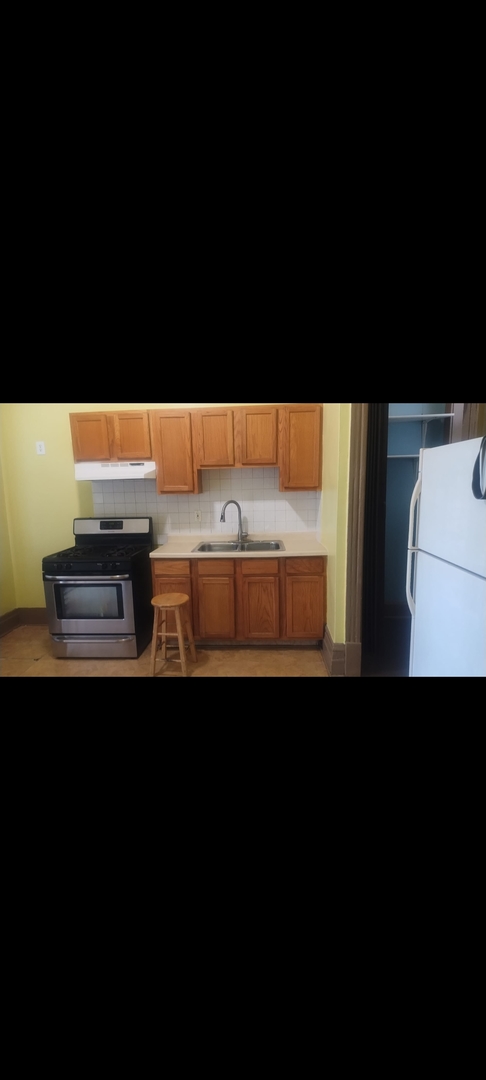 3231 West Flournoy Street, Unit 2 Chicago, IL 60624 - Photo 8 of 13