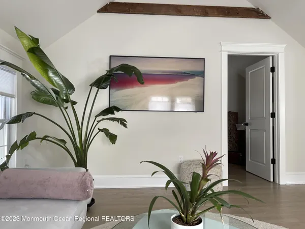 a view of a potted plant with a mirror
