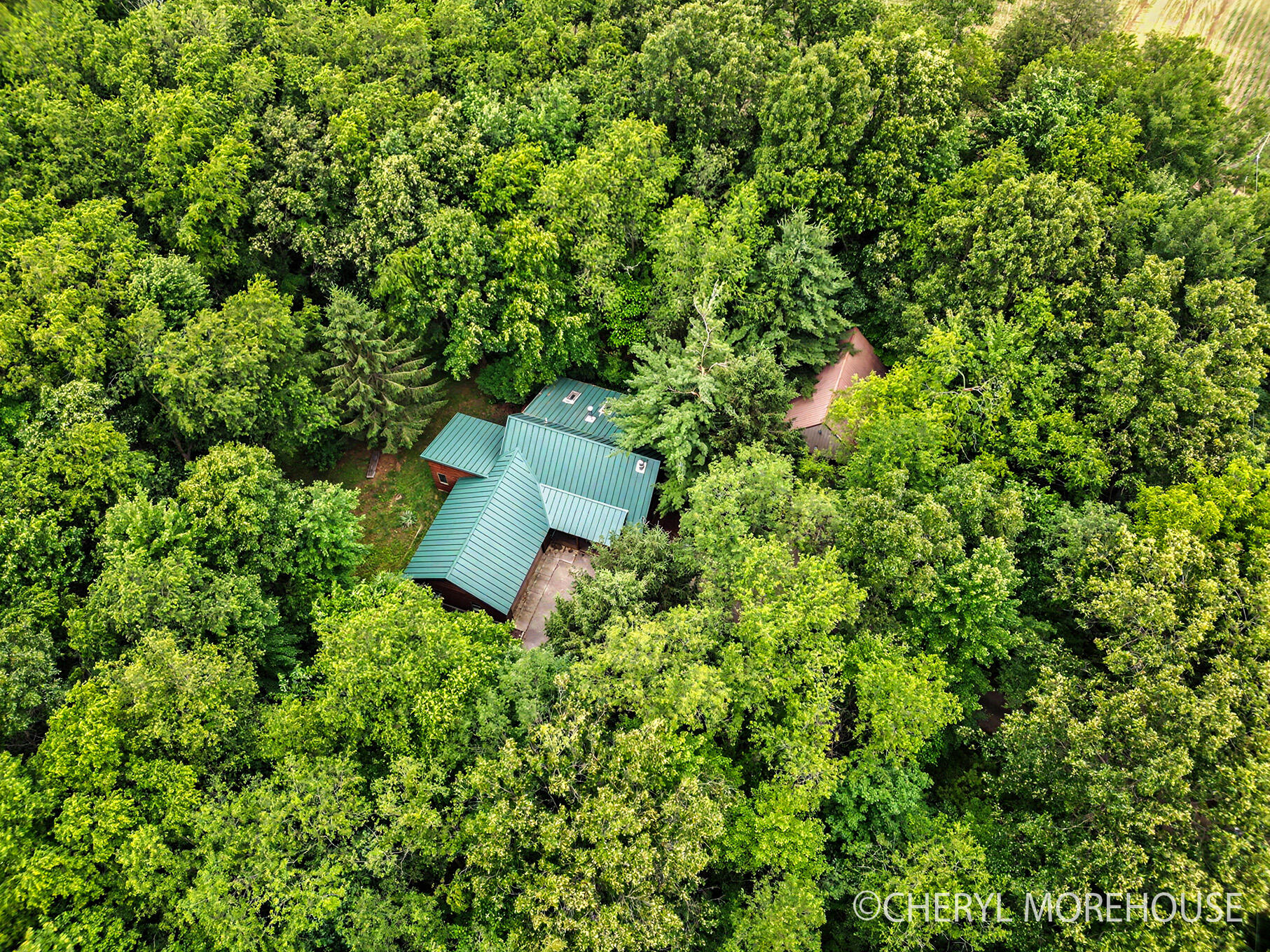 1951 North Norris Road Middleville, MI 49333 - Photo 28 of 30 DJI_0653