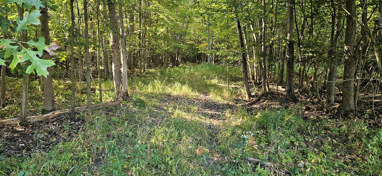 1 Peet Road Elsie, MI 48831 - Photo 10 of 25