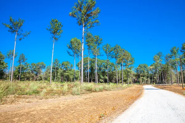 $175,000 | 510 Rabbit Pen Drive, Appling, GA 30802