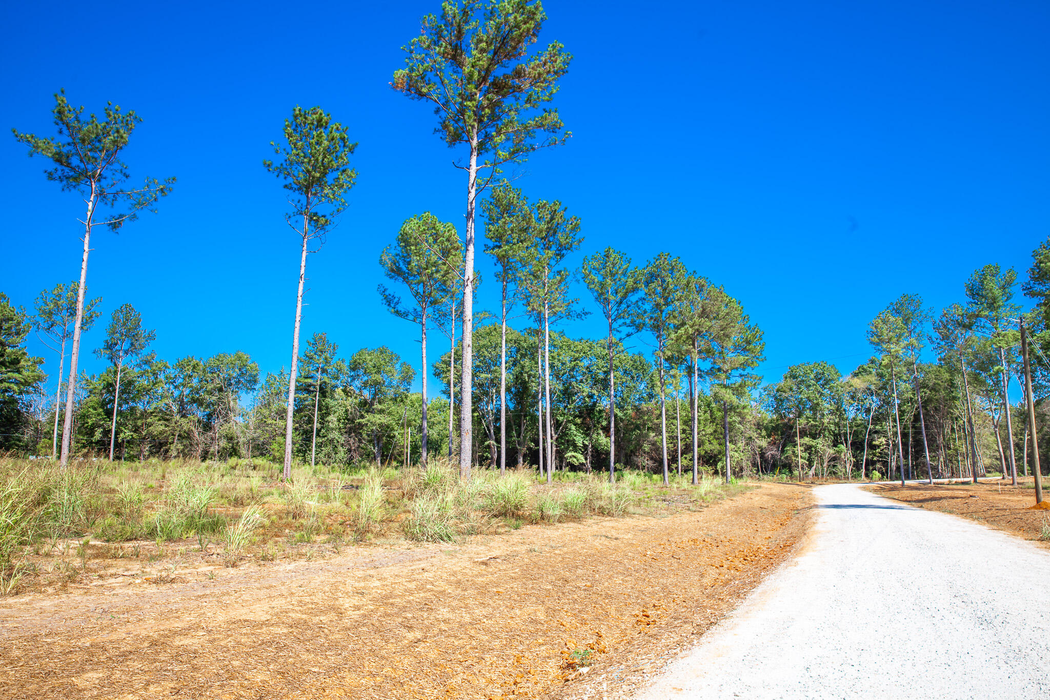 510 Rabbit Pen Drive Appling, GA 30802 - Photo 1 of 10 IMG_4300