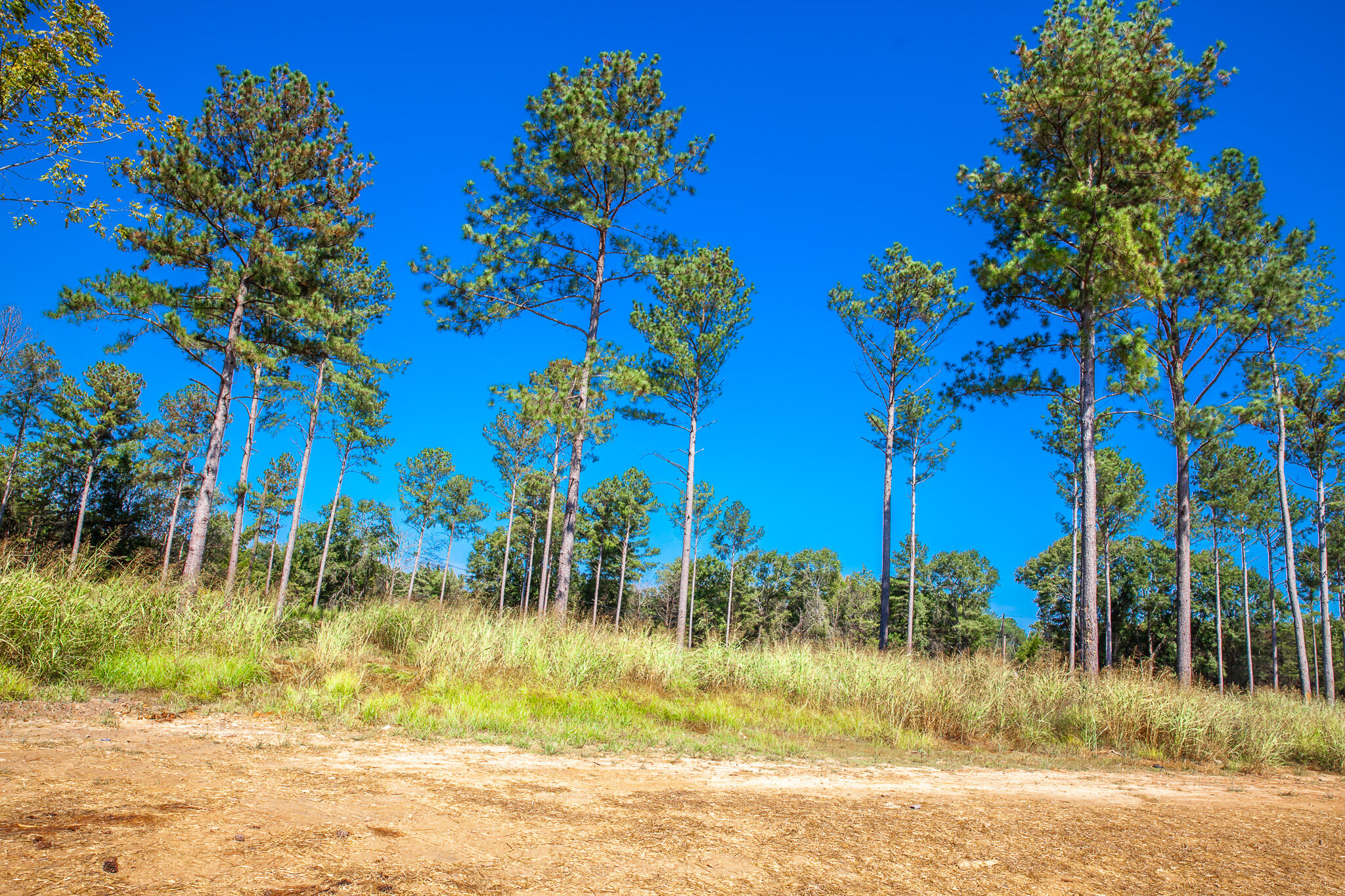 510 Rabbit Pen Drive Appling, GA 30802 - Photo 2 of 10 IMG_4297