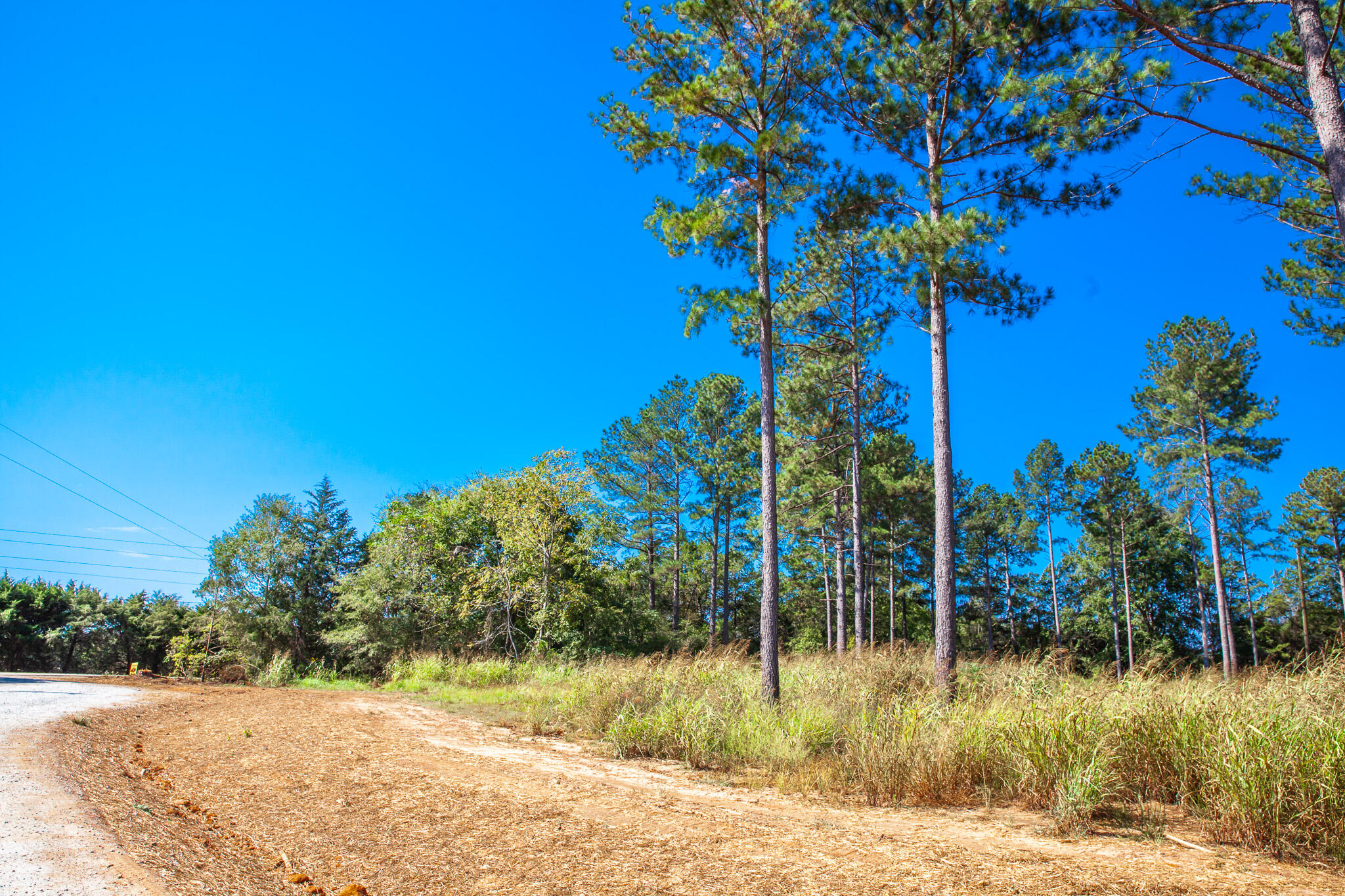 510 Rabbit Pen Drive Appling, GA 30802 - Photo 4 of 10 IMG_4298