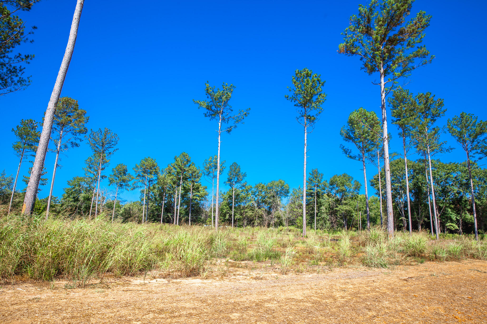 510 Rabbit Pen Drive Appling, GA 30802 - Photo 5 of 10 IMG_4299