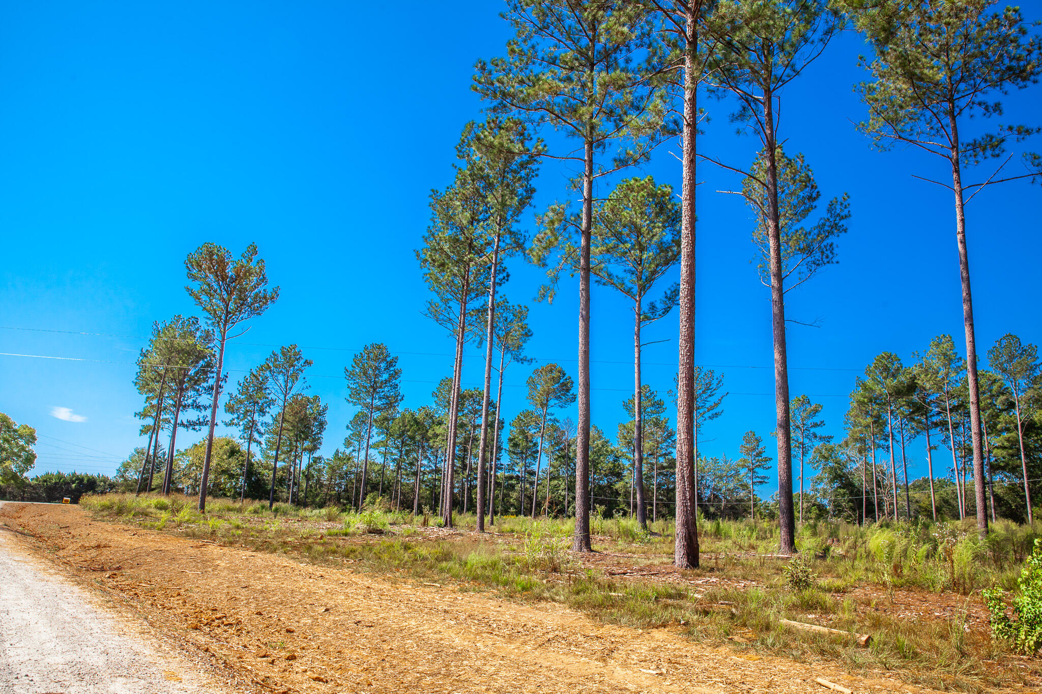 510 Rabbit Pen Drive Appling, GA 30802 - Photo 6 of 10 IMG_4301