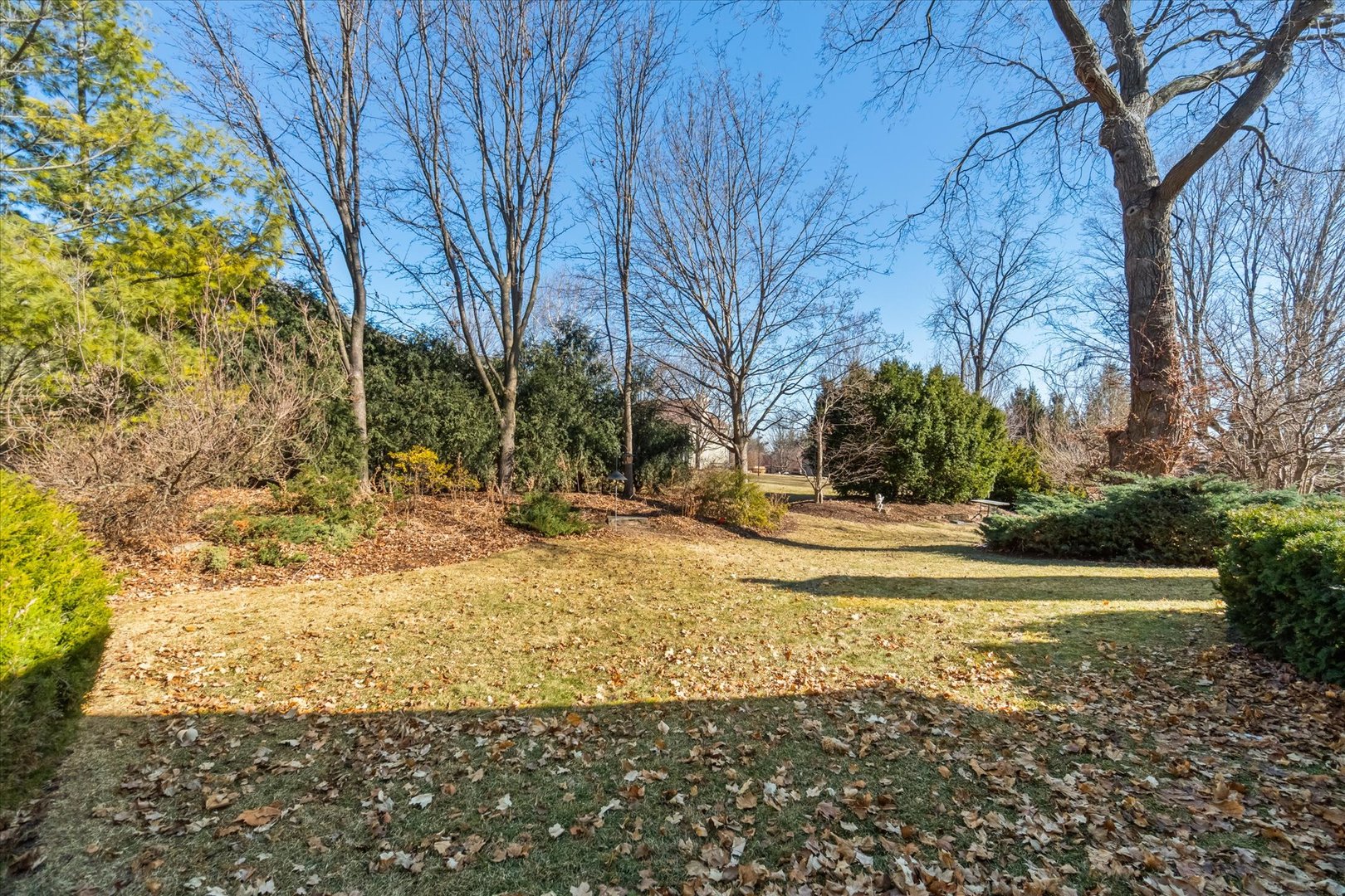 6 Winthrop New Road Sugar Grove, IL 60554 - Photo 30 of 38 a view of a yard with an trees