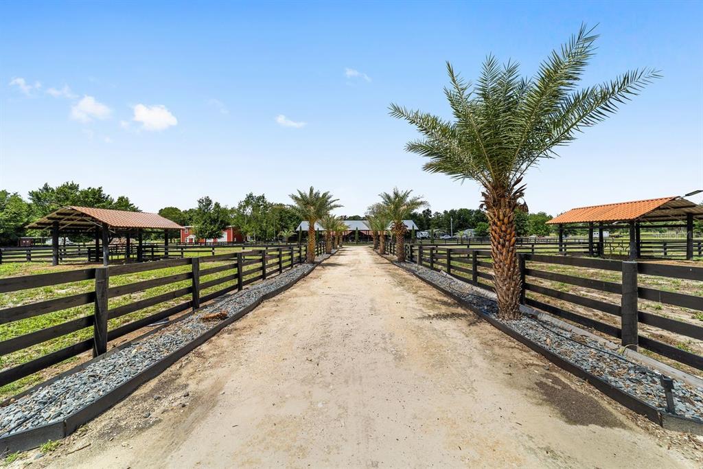 16392 Northeast Jacksonville Road Citra, FL 32113 - Photo 5 of 44 a view of a yard with wooden fence