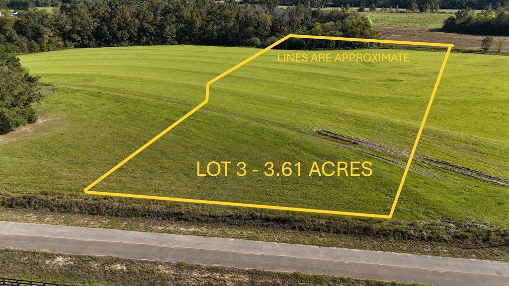 Lot 3 Battles Road Dothan, AL 36301 - Photo 1 of 4