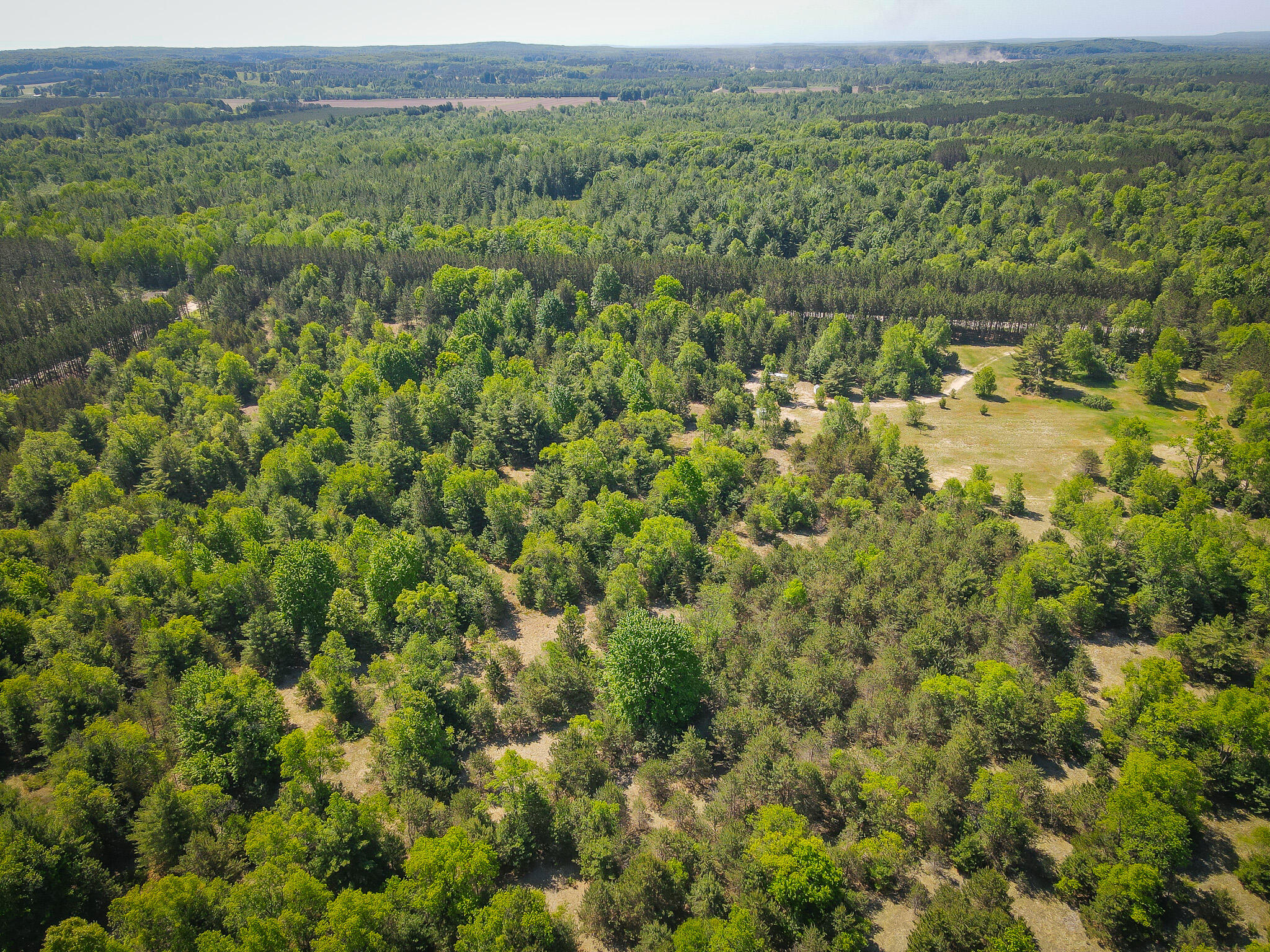 Parcel C Niemi Road Kaleva, MI 49645 - Photo 7 of 28 DJI_0267
