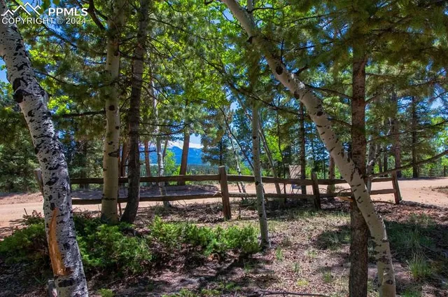 a view of a yard with plants and a trees