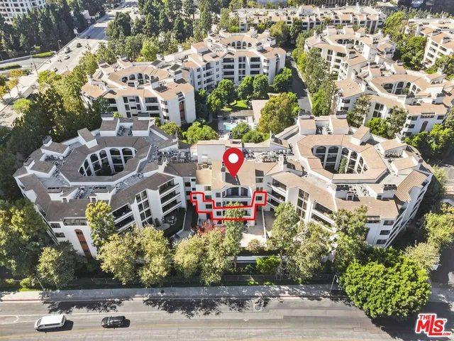 a view of a living room with furniture potted plant and a floor to ceiling window