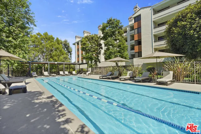 a view of a backyard with plants and a bench