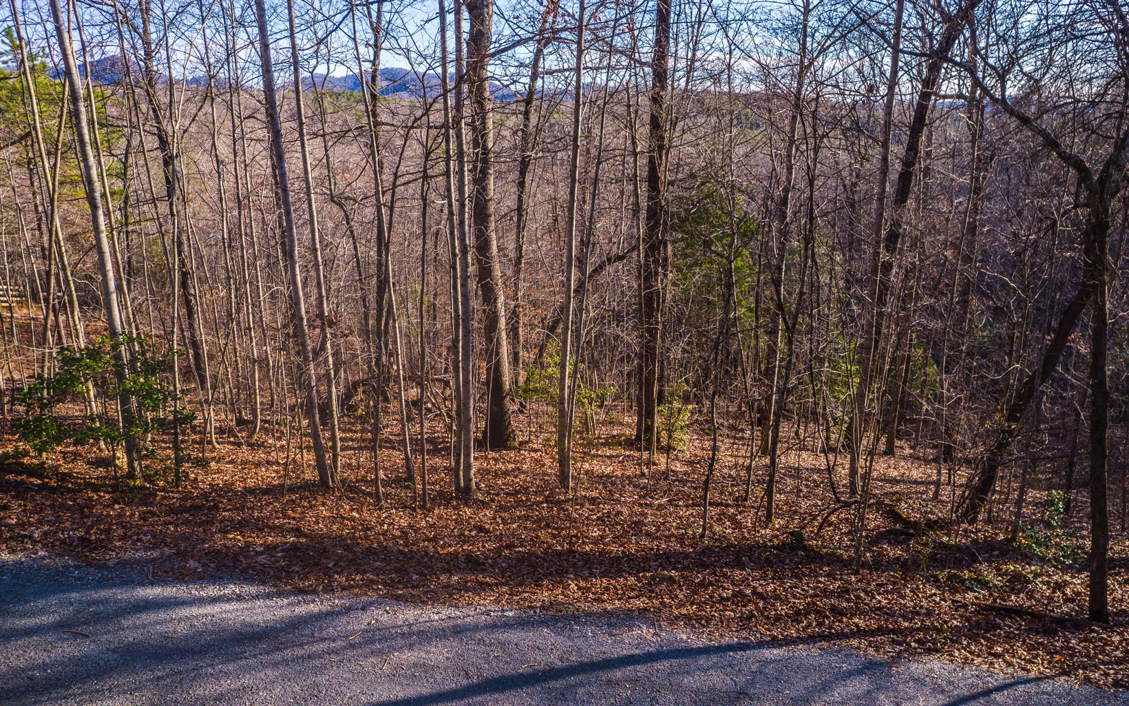 1.5 A Antioch Cemetary Road Morganton, GA 30560 - Photo 1 of 7 Main View