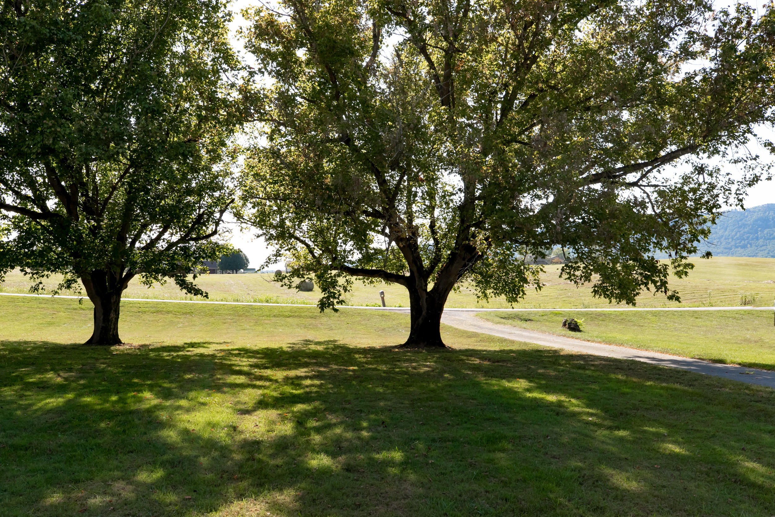 249 Frontier Road La Follette, TN 37766 - Photo 33 of 36 249 Frontier Rd-9