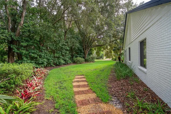 a view of a back yard with flower plants
