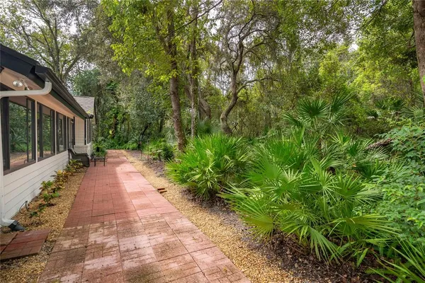 a view of a pathway with plants and large trees