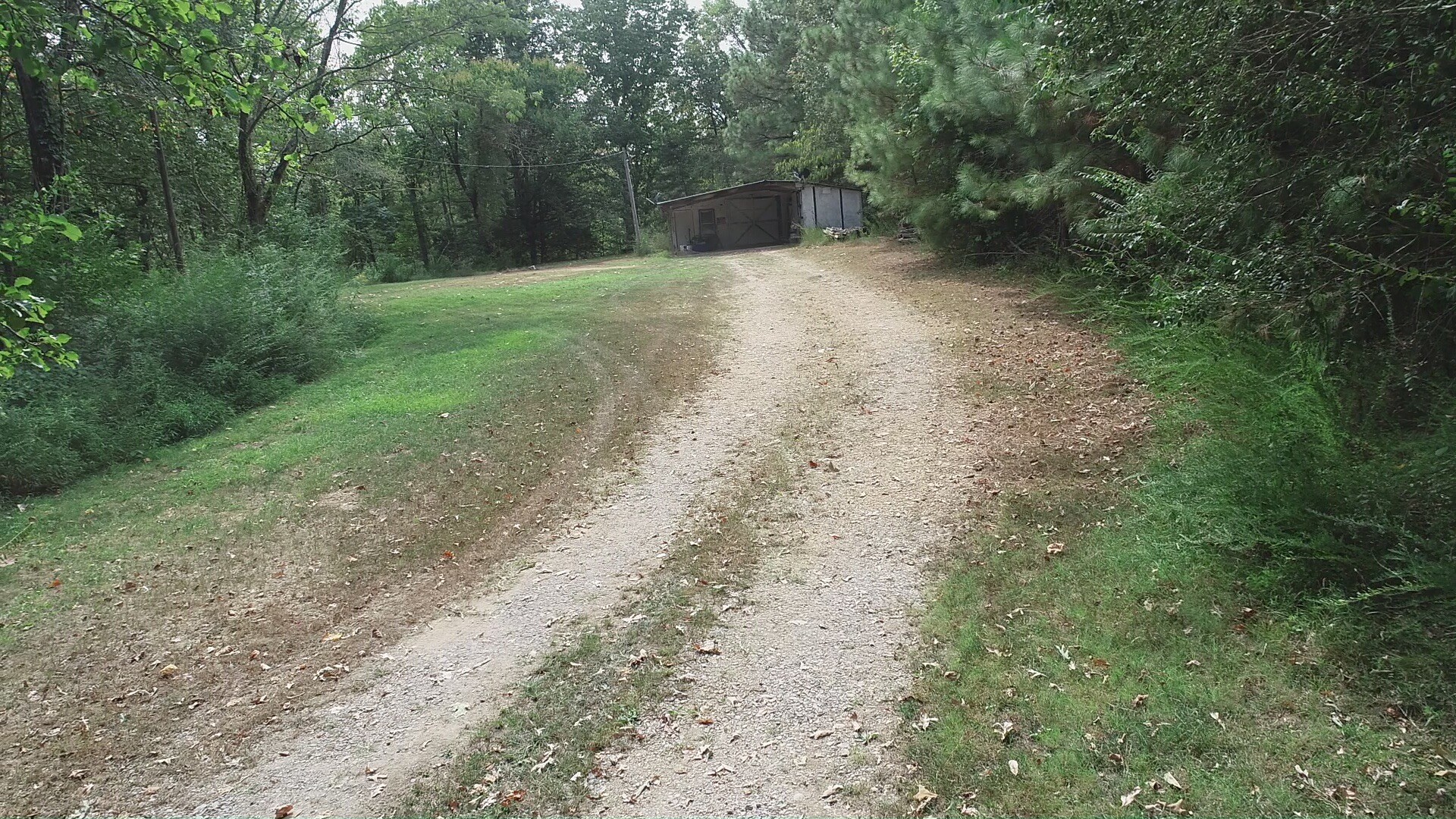 1865 Clydeton Road Waverly, TN 37185 - Photo 35 of 40 a view of a yard with trees