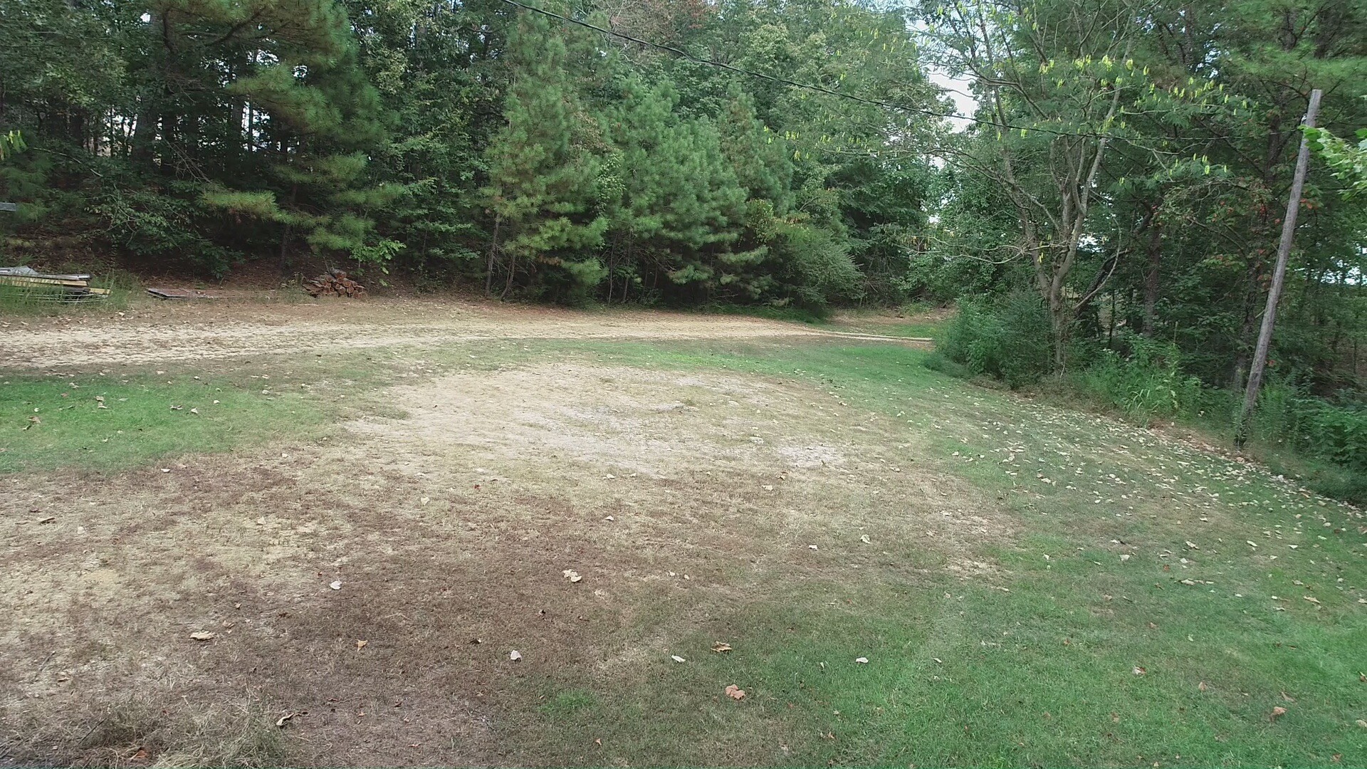 1865 Clydeton Road Waverly, TN 37185 - Photo 37 of 40 a view of a big yard with plants and large trees