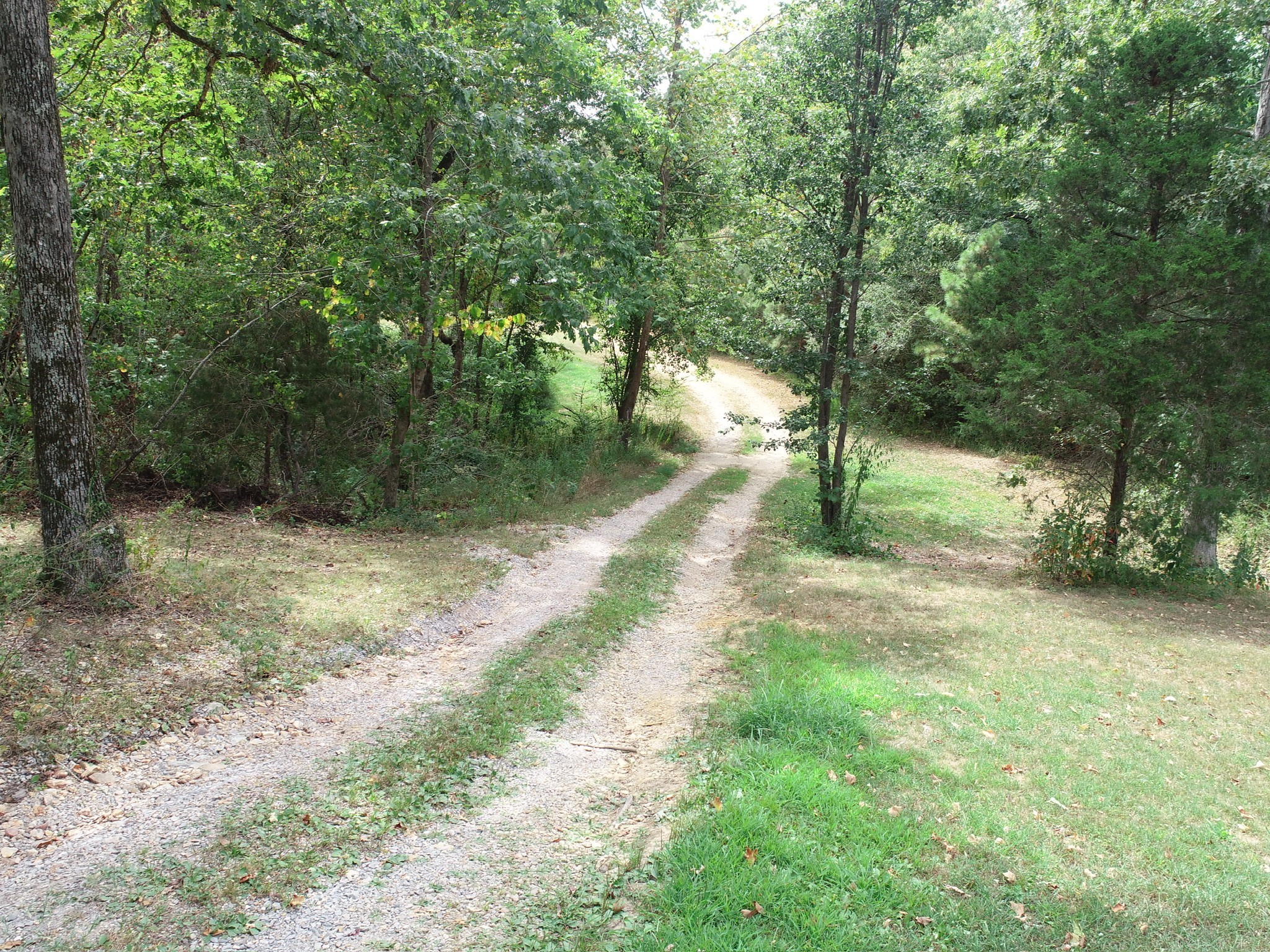 1865 Clydeton Road Waverly, TN 37185 - Photo 38 of 40