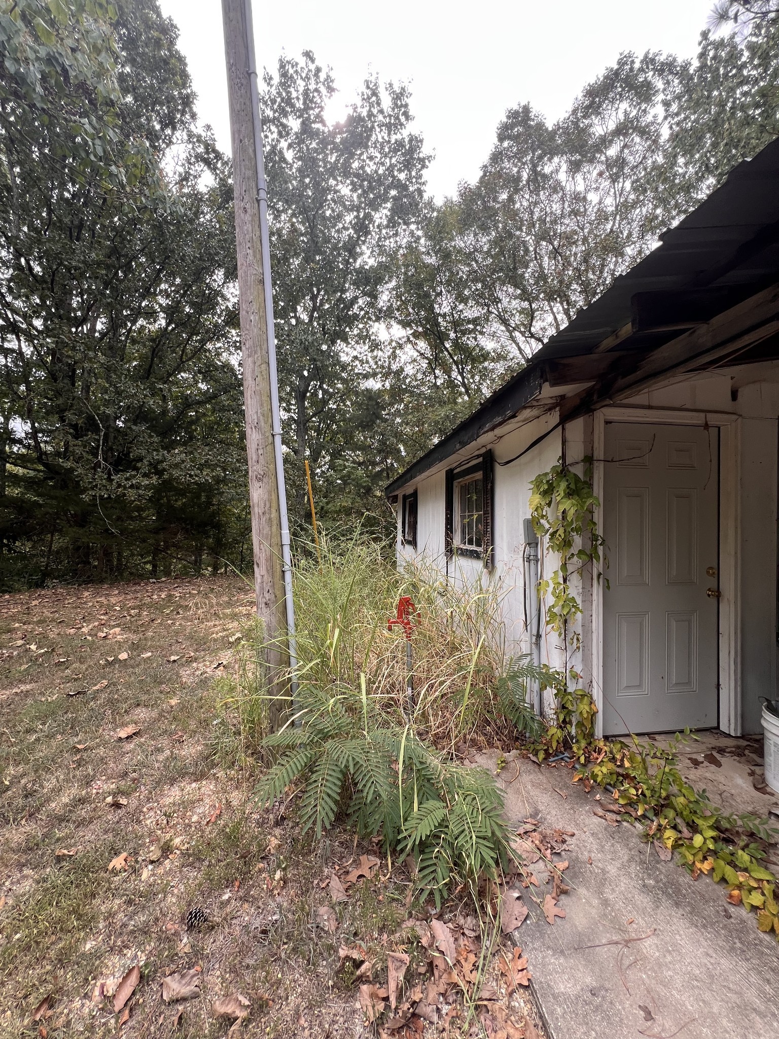 1865 Clydeton Road Waverly, TN 37185 - Photo 39 of 40 a backyard of a house with plants and tree
