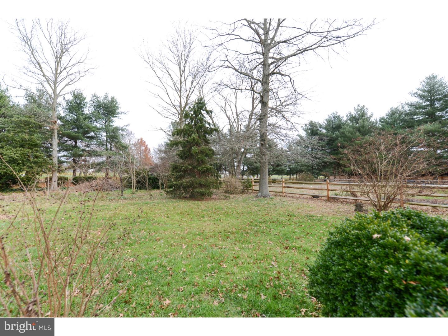 127 Marlton Road Pilesgrove, NJ 08098 - Photo 18 of 20 Back Yard