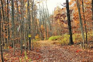 Knoth Road Wallkill, NY 12589 - Photo 1 of 1 Beautiful 63 Acre parcel with mature hardwoods, trails throughout, streams, stone walls and drilled well.