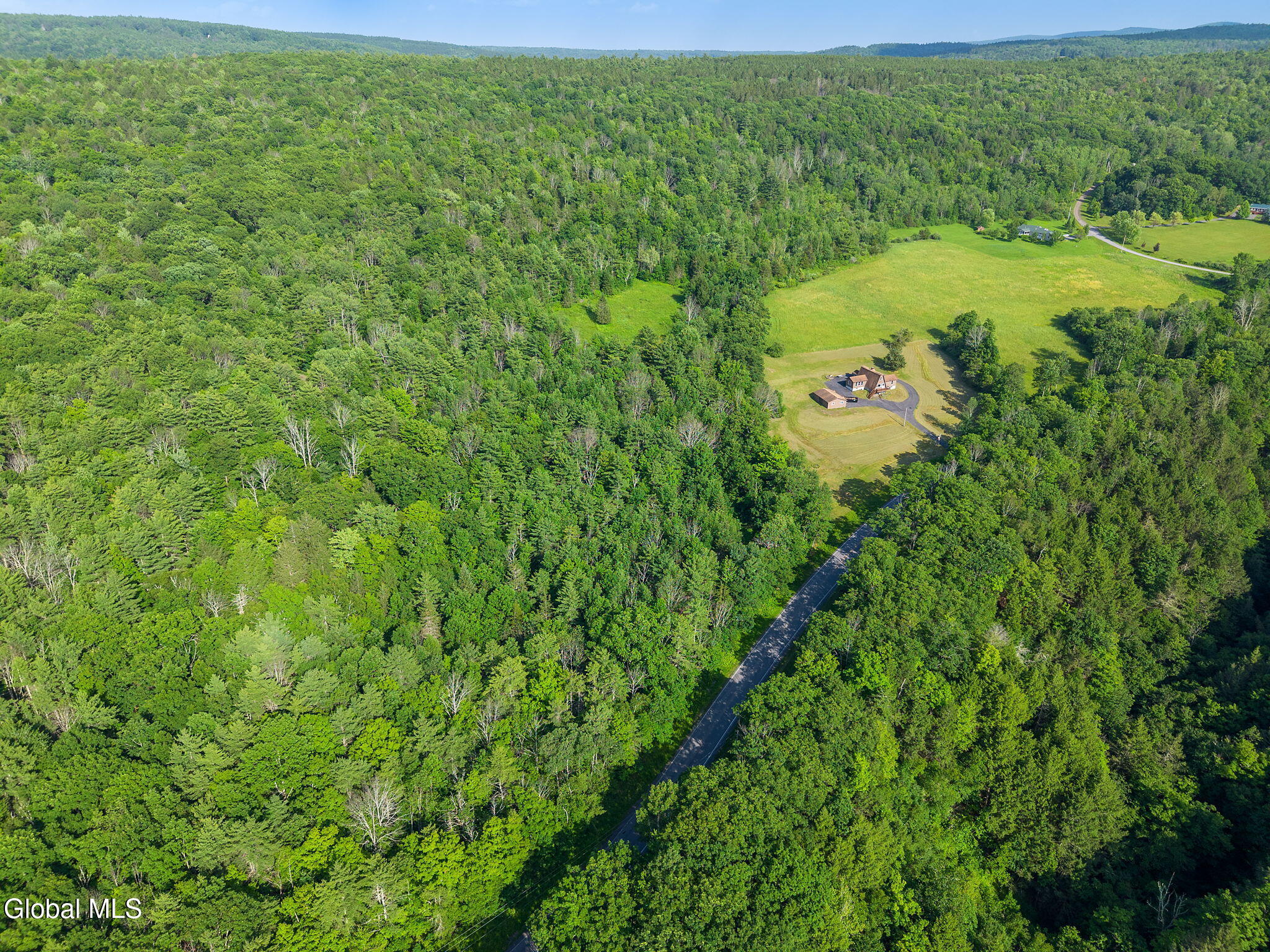 1008 Guinea Road Middleburgh, NY 12122 - Photo 47 of 51 60-1008GuineaRd_60