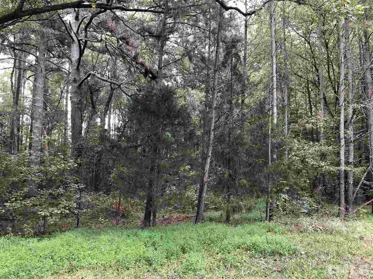 9113 Mandale Road Graham, NC 27253 - Photo 4 of 12 View from front of the home