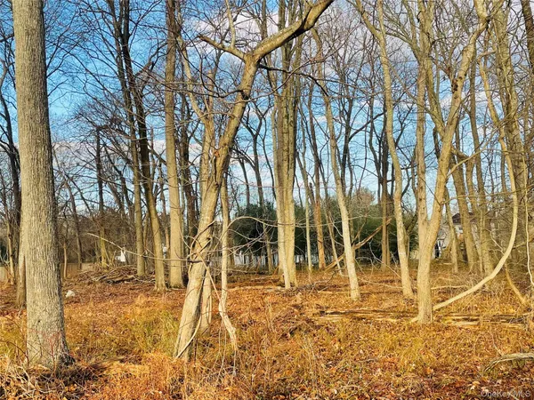 a view of outdoor space