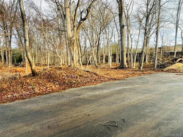 $170,000 | Vl Daniel Lane, Middle Island, NY 11953