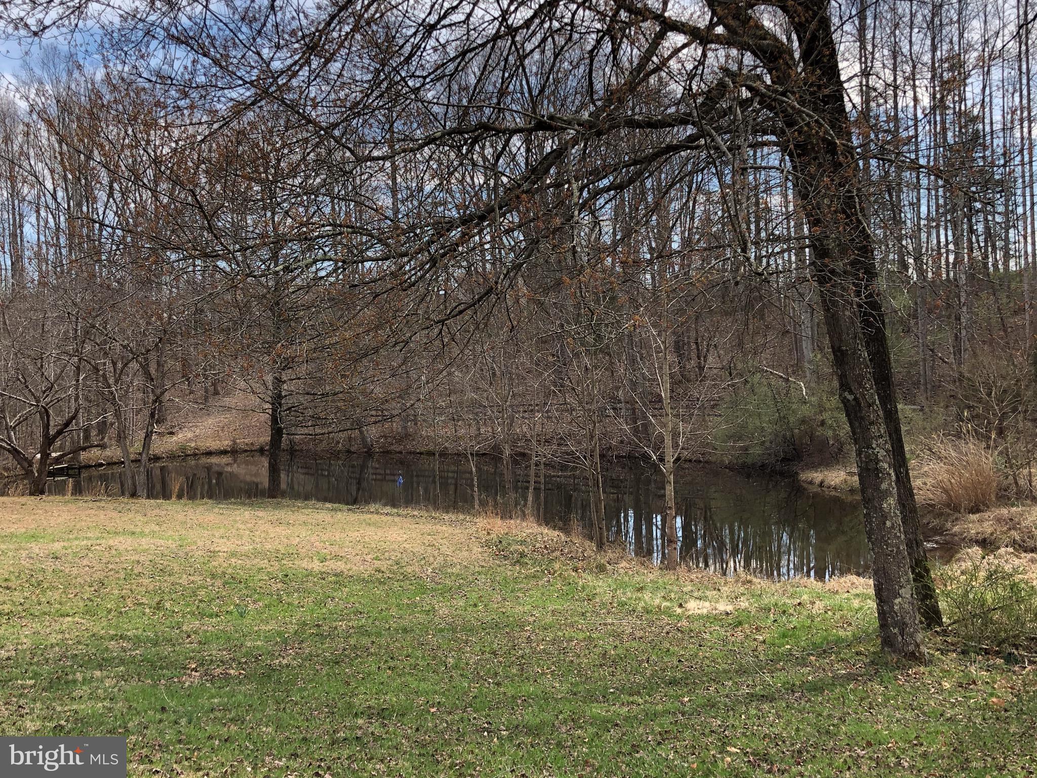 882 Scrabble Road Castleton, VA 22716 - Photo 5 of 17 Larger pond. Most on the 6.27 acres