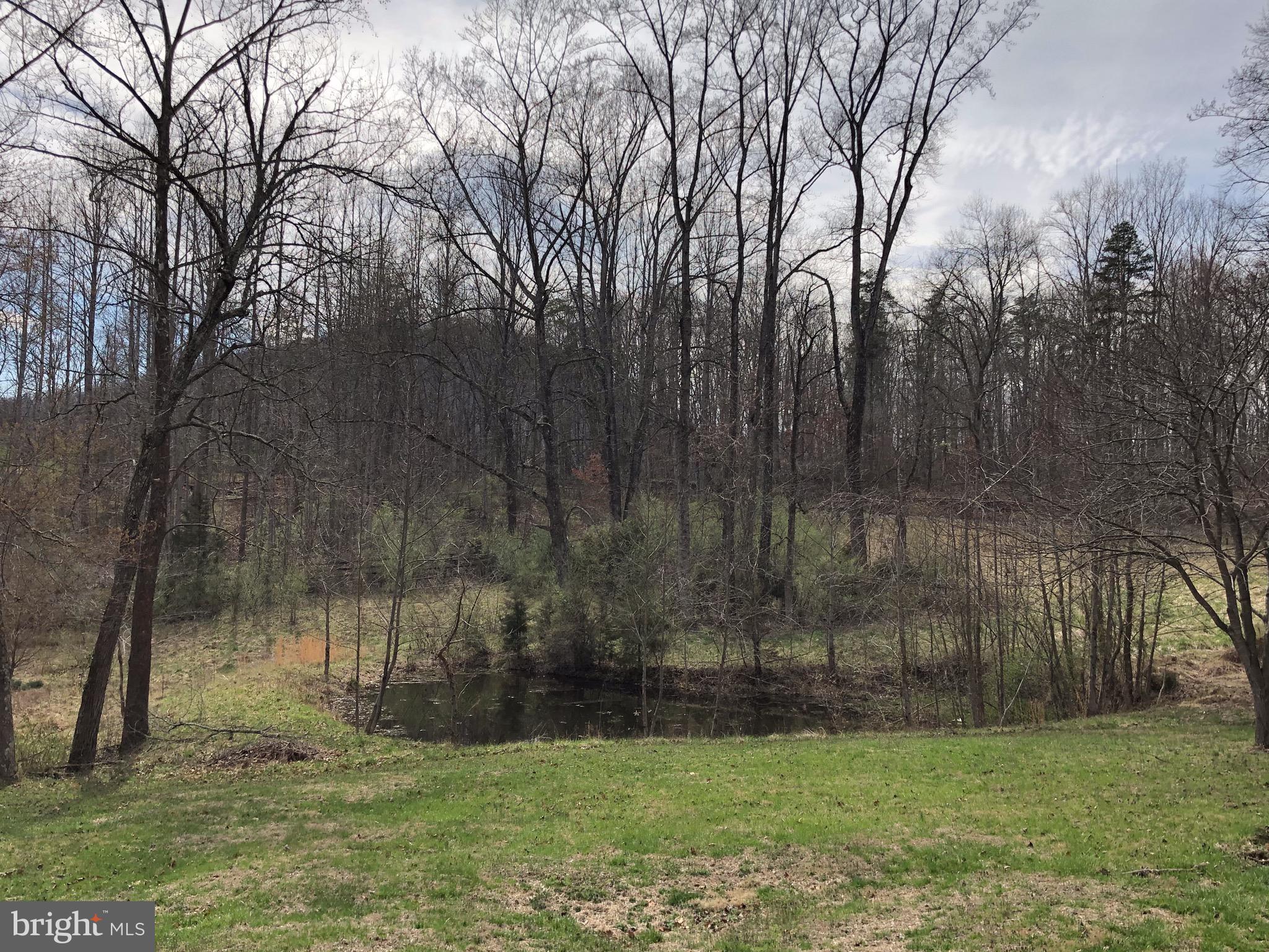 882 Scrabble Road Castleton, VA 22716 - Photo 6 of 17 Smaller pond completely on 6.27 acres