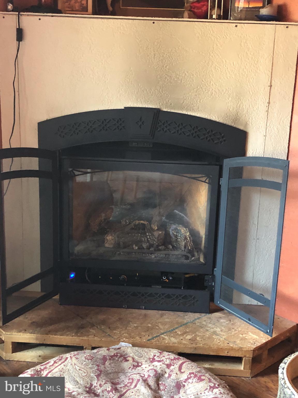 882 Scrabble Road Castleton, VA 22716 - Photo 10 of 17 Propane fireplace in main floor office